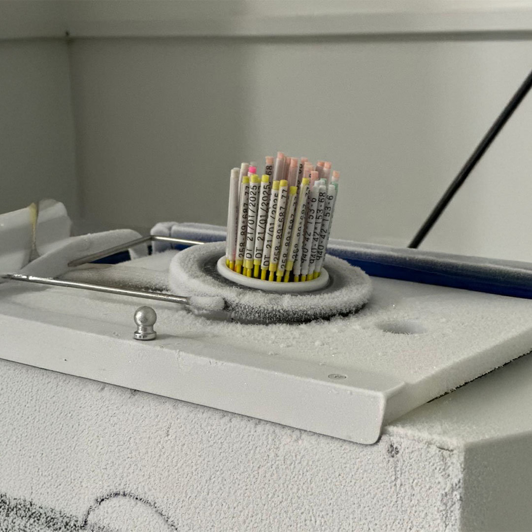 VITROLAB DT